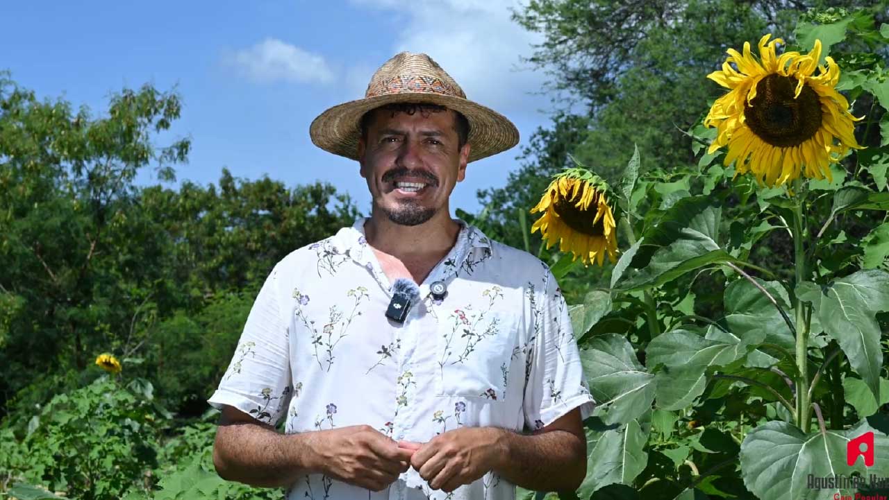La tierra habla y Rodolfo Figueroa decidió escucharla